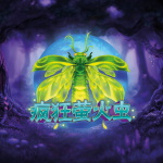 疯狂萤火虫