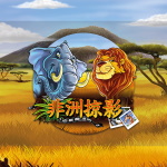 非洲掠影