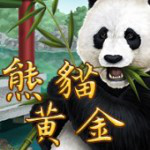 熊貓黃金