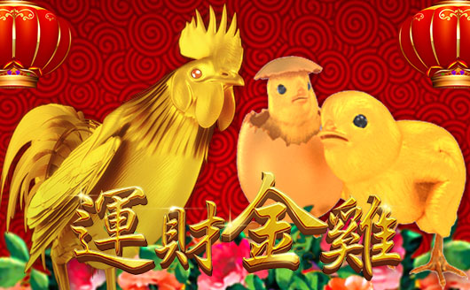 運財金雞