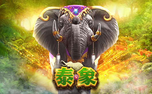 泰象